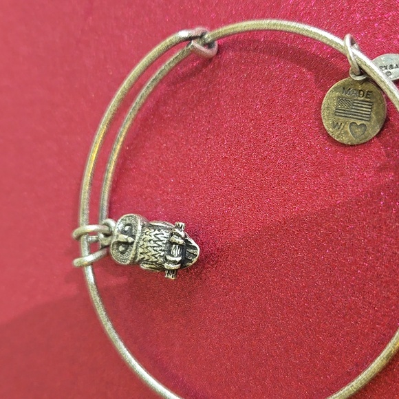 Alex and ani bracelet owl jo35 - Picture 2 of 4